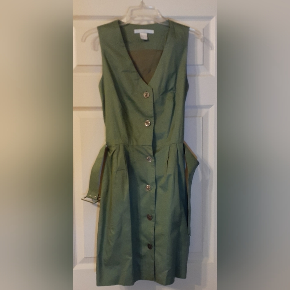 THE Limited Belted Dress